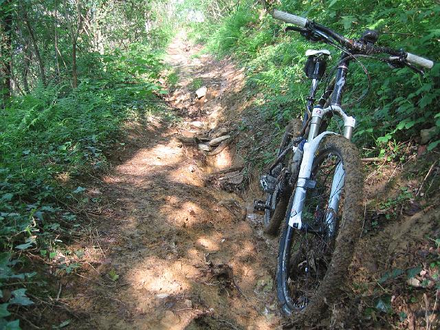 bici 029B.jpg